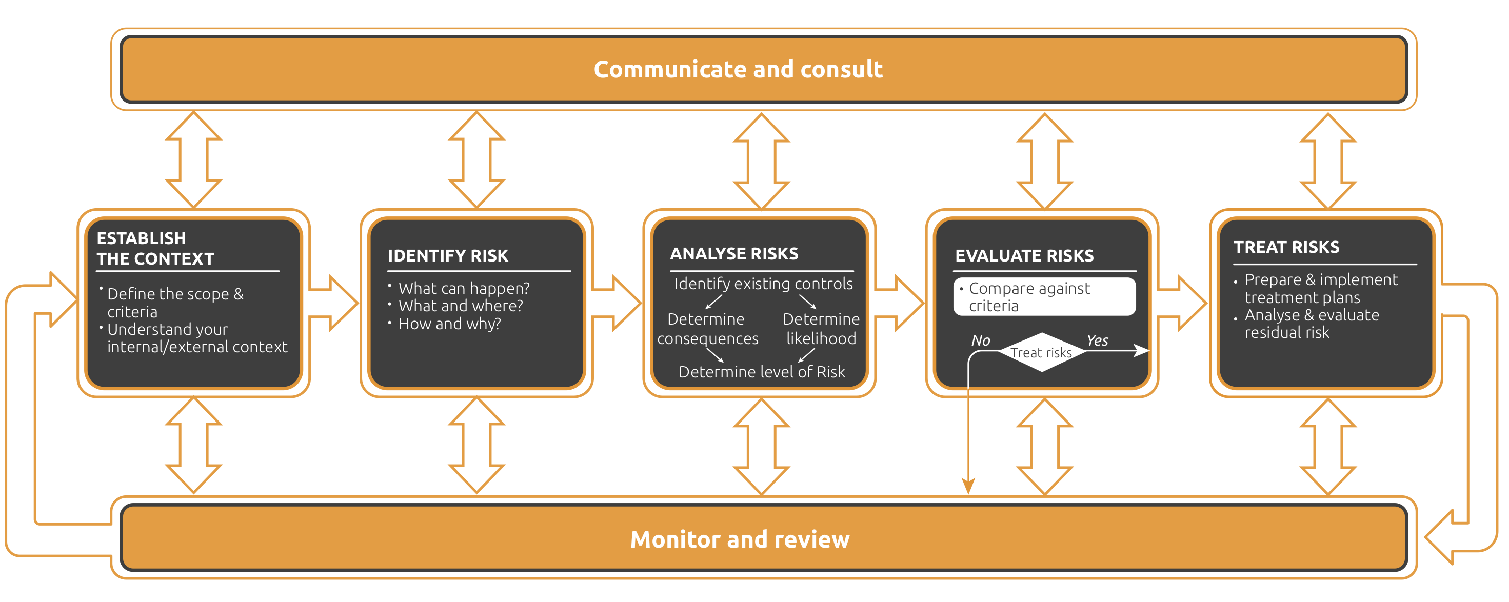Conquer Risk Management How to Conquer a Crisis, Not Just Respond to It