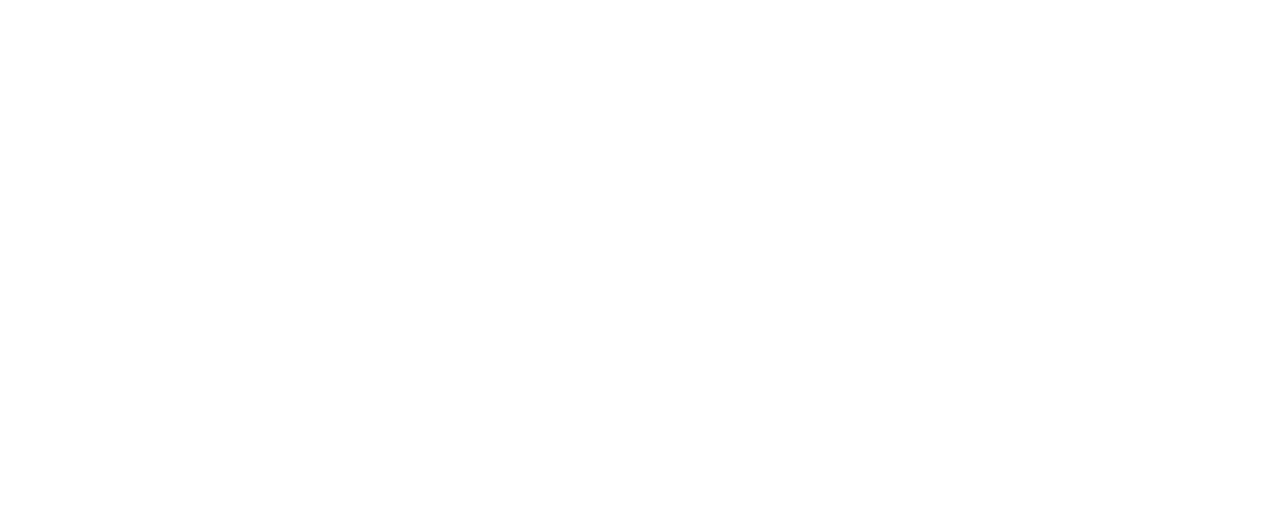 riskware-white-logo-cropped